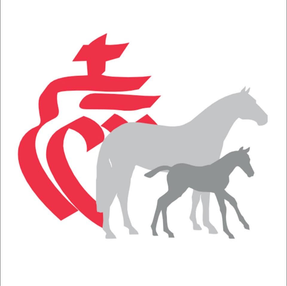 Logo organisateur